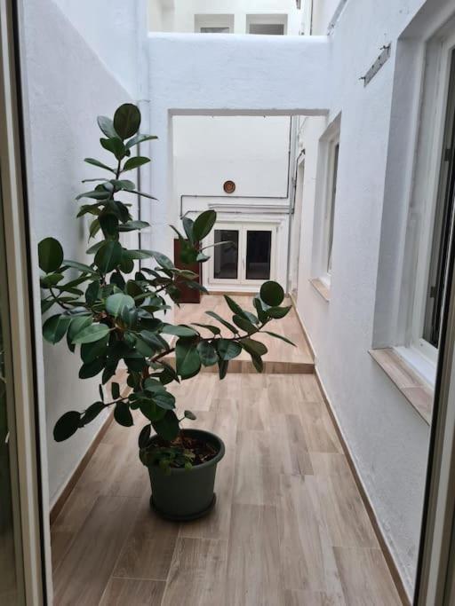 Apartamento Centrico Pontevedra Apartman Kültér fotó